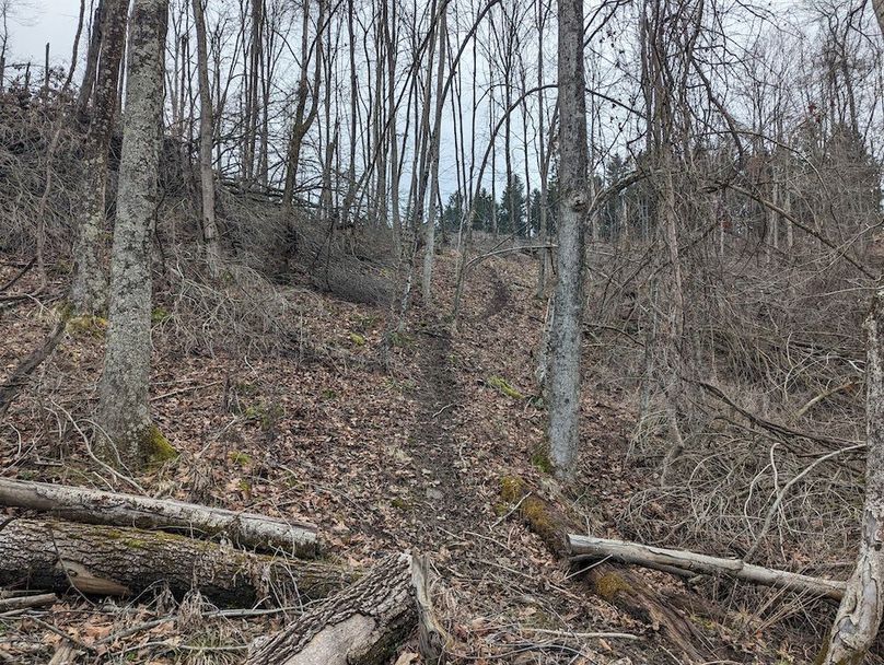 PXL_20240131_170809604