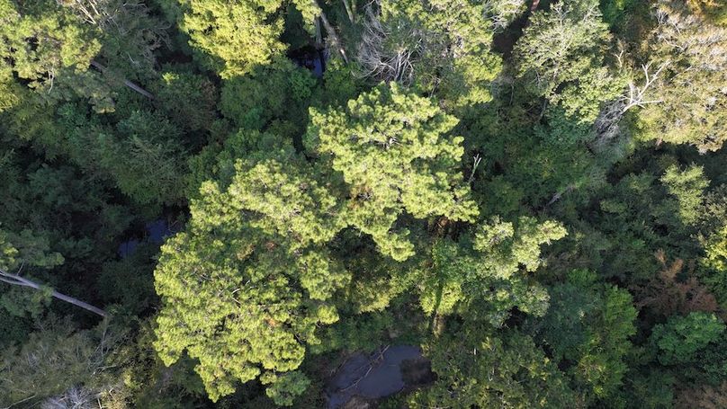 DJI_20250918082227_0141_D