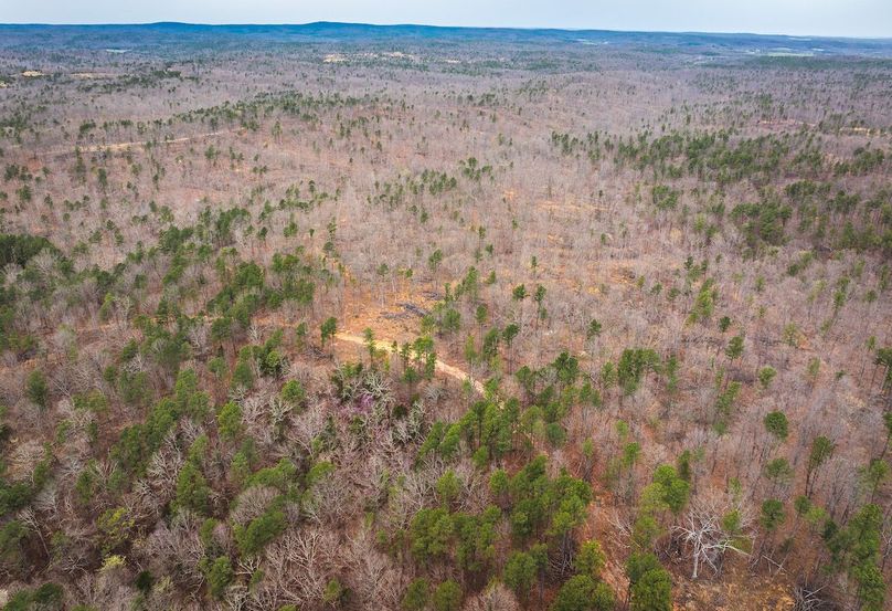 DJI_20250403135258_0607_D