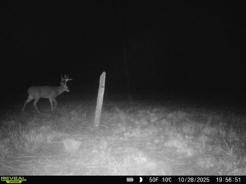 860322062100349-100-4-10282025195652-V-W1003046