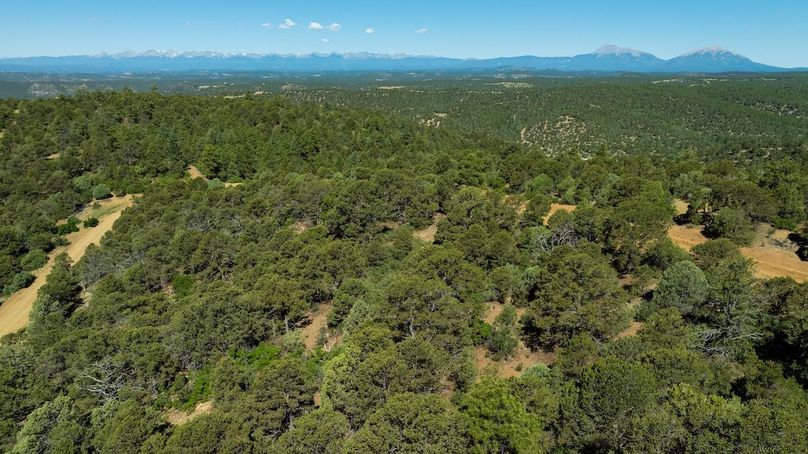 DJI_20240625115530_0073_D-HDR