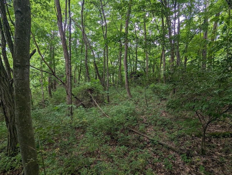 PXL_20240607_190724852