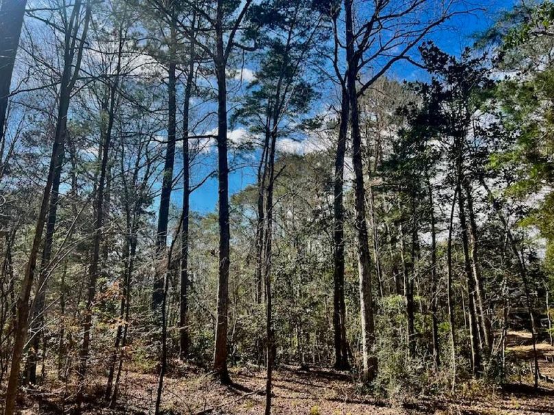 BF68E141-F61E-4141-B9D3-E053E7A4FF60_1_201_a