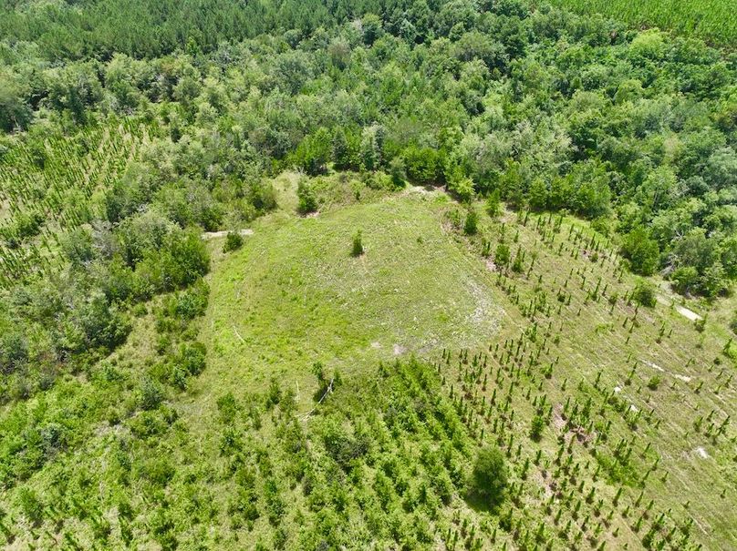 dji_fly_20240710_135706_560_1720634560669_photo