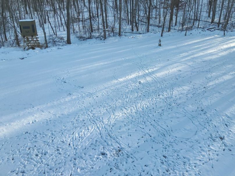 21 Foodplot Secluded Blind and Tracks
