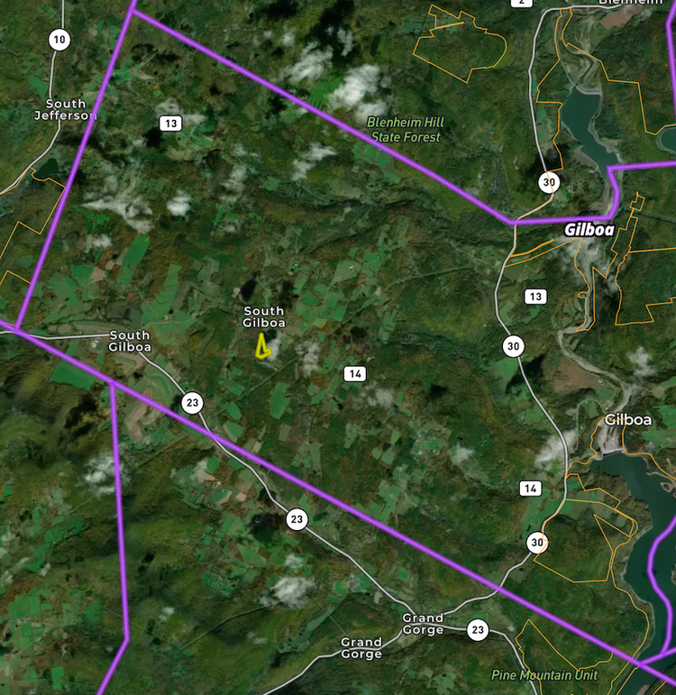 Schoharie 10.05 Sun Township Map