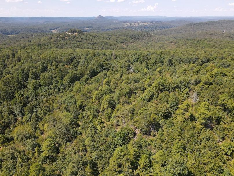 dji_fly_20250902_122318_766_1756833811484_photo