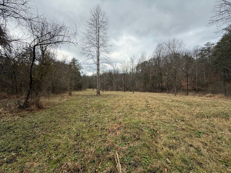 022 the northern most field area along the stream