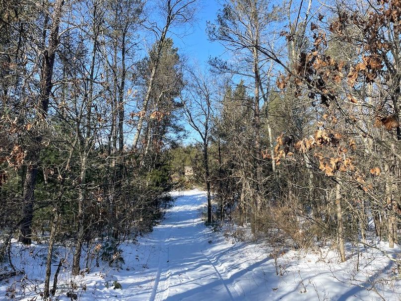 Adams 25, Nessler -60