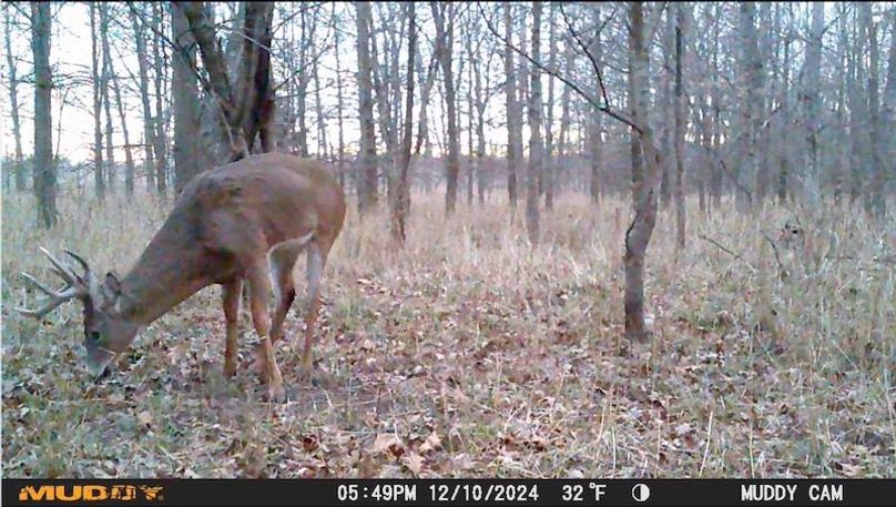 Image 12-28-24 at 6.14 PM 2