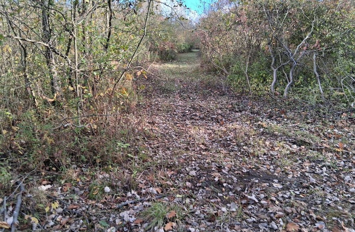 2a 2185367813693703349