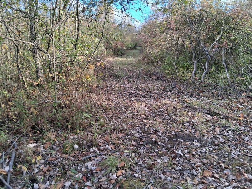 2a 2185367813693703349