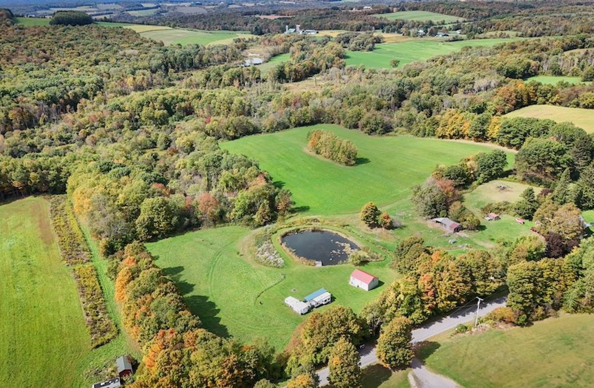 Cayuga_55.02_Herman Photo 4