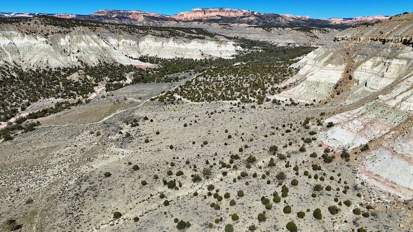 DJI_20240403111733_0151_D