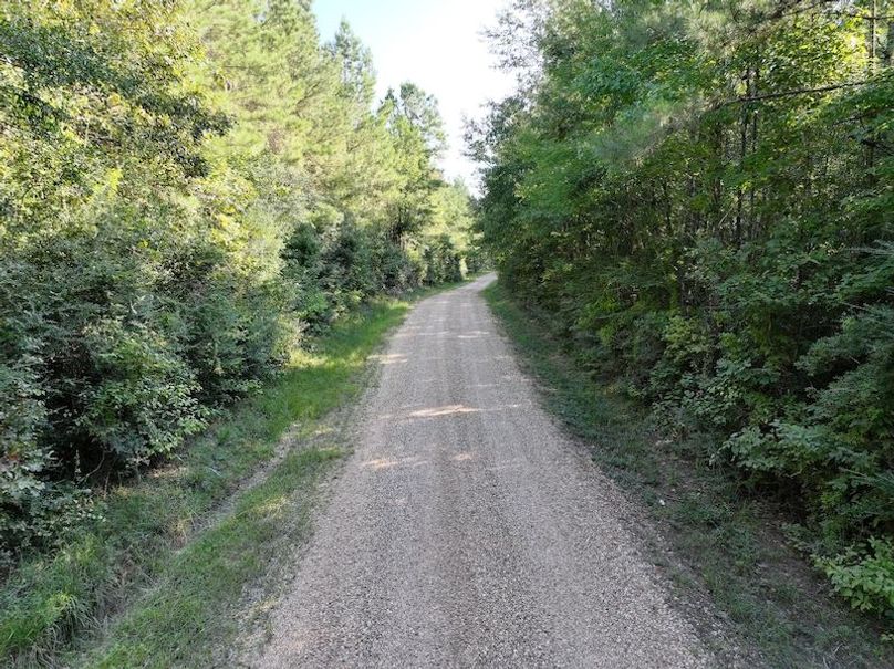 dji_fly_20250908_093728_0410_1757354106489_photo