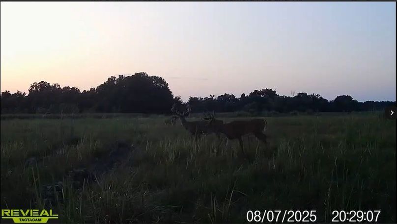 Screenshot_24-1-2026_91654_drive.google.com