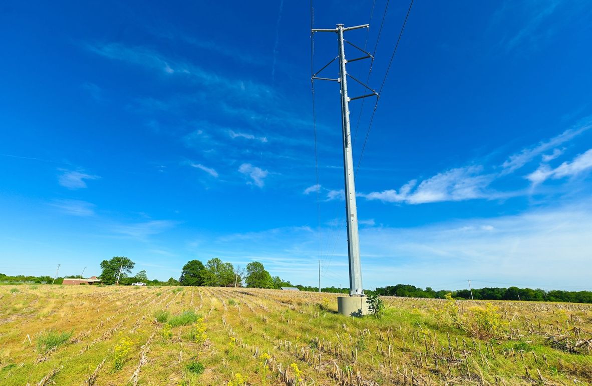 Copy of st clair 25 auction