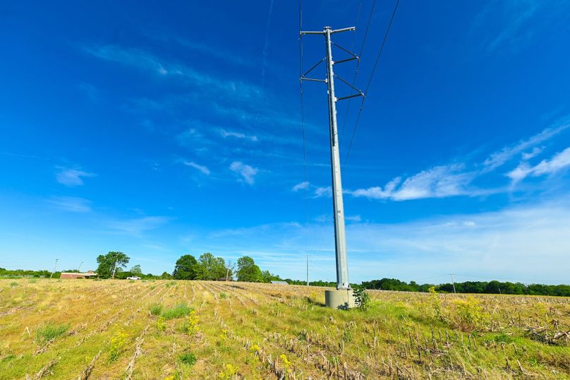 Copy of st clair 25 auction