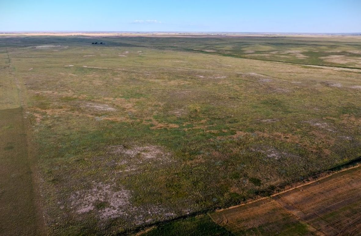 DJI_20250803071640_0005_D-HDR