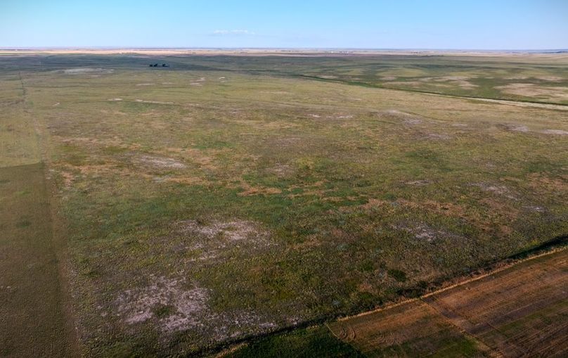 DJI_20250803071640_0005_D-HDR