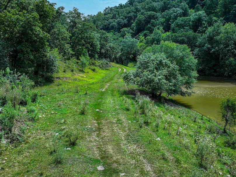 New Albin 8_8 edits-45