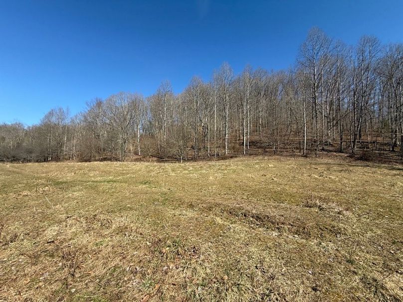 018 open field area near the middle of the property