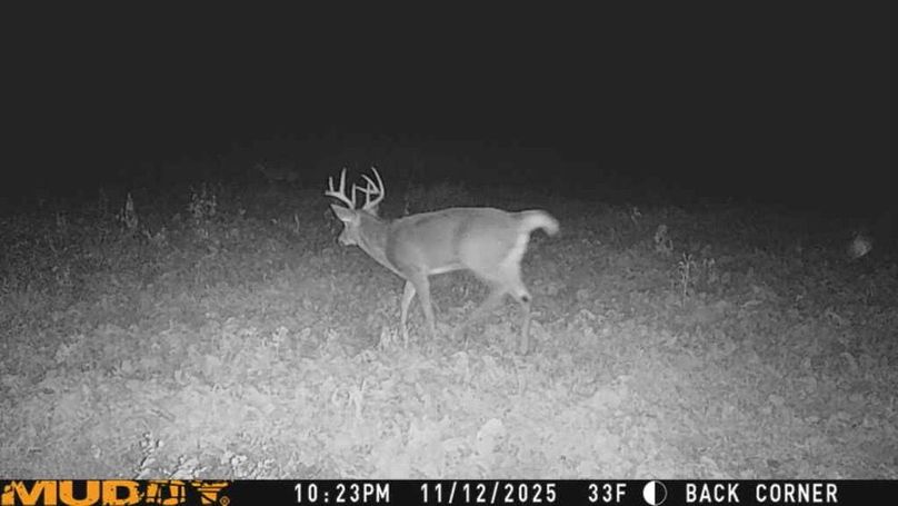 25111222230401005316_ColorizationType.none