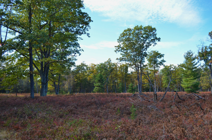 Screenshot 2025-11-14 at 11.34.30 AM