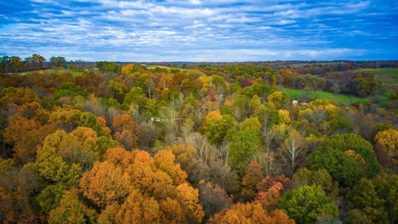 10-zj 31961 Township Rd 381009