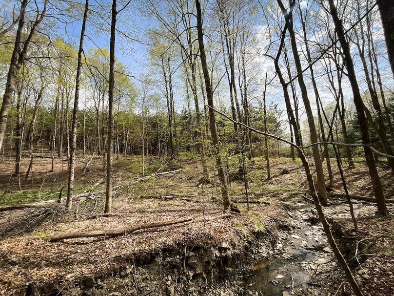 Tioga_76.65_Matyjas_Photos_38