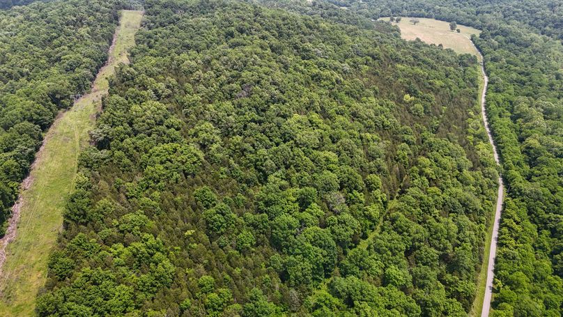 DJI_20250604133110_0022_D