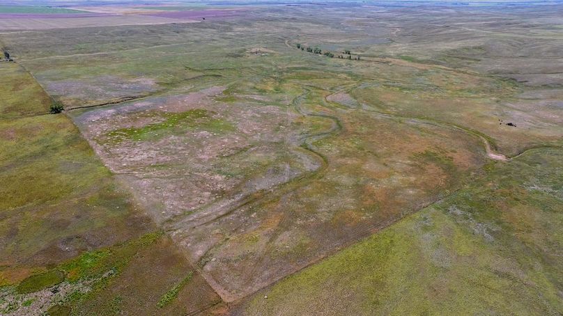 DJI_20250623105720_0308_D-HDR