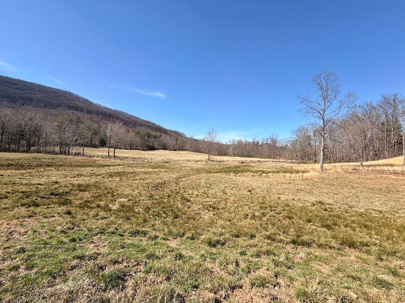 Morgan Co TN 310.833 Schneller_88