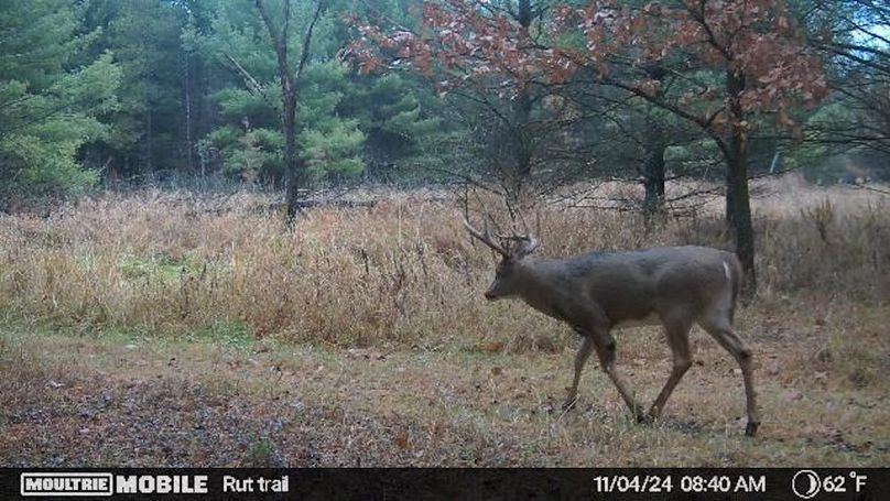 Temp_731870-20241104144238-20241104084011_005004