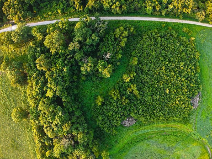 DJI_20250823071349_0931_D