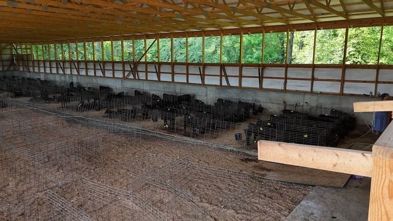 DJI_20250819174050_0973_D