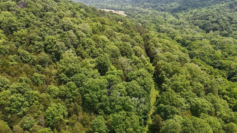 DJI_20250604132624_0014_D