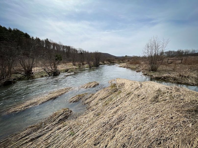 Tioga__NY_109.7_Burris_Photos_120