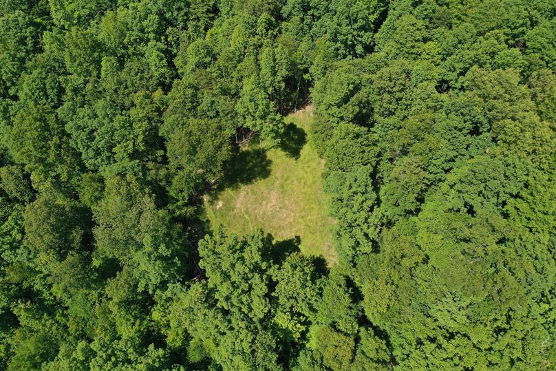 041 aerial drone shot of north ridge food plot