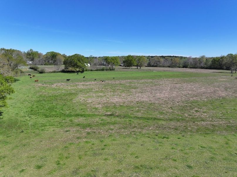 dji_fly_20260317_094020_0411_1773768873081_photo