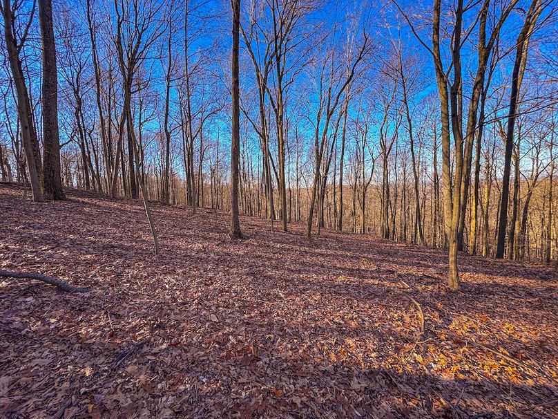 Pleasants, WV 81 AC Barron-34