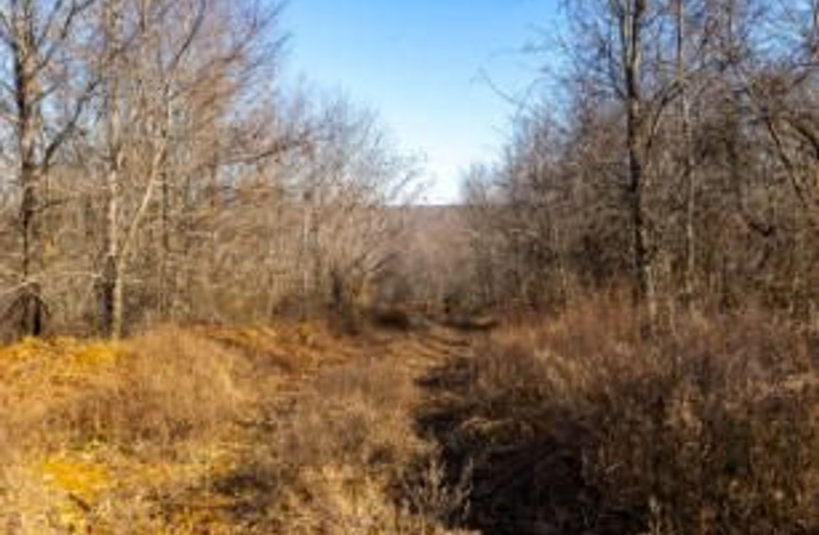 MCKINNON TRACT 17-03