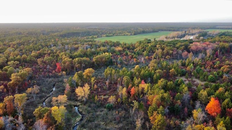 dji_fly_20241011_175230_456_1728687429652_photo_optimized 2