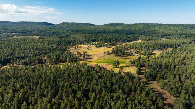 Cibola NM 13,053-0450