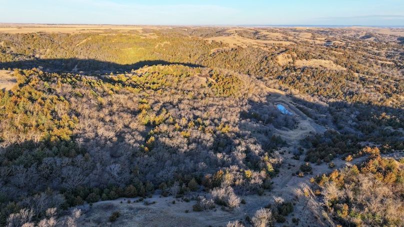 DJI_20260325080315_0142_D