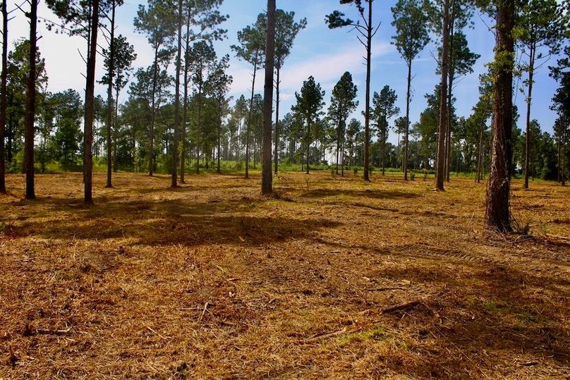 FF31F0E9-D722-421A-8F54-72244250D500_1_105_c