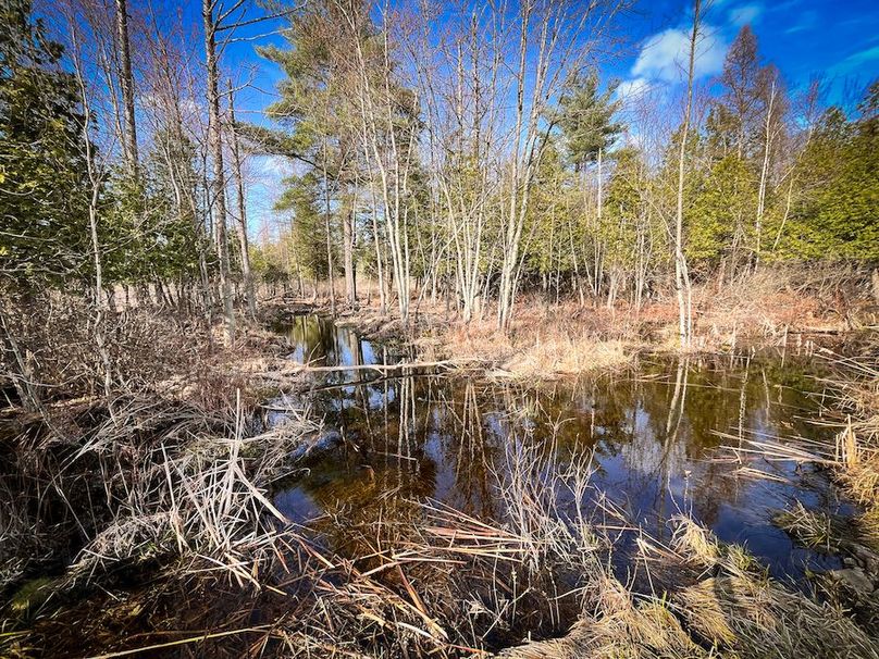 StLawrence_142.7_Bosse_Photos_63