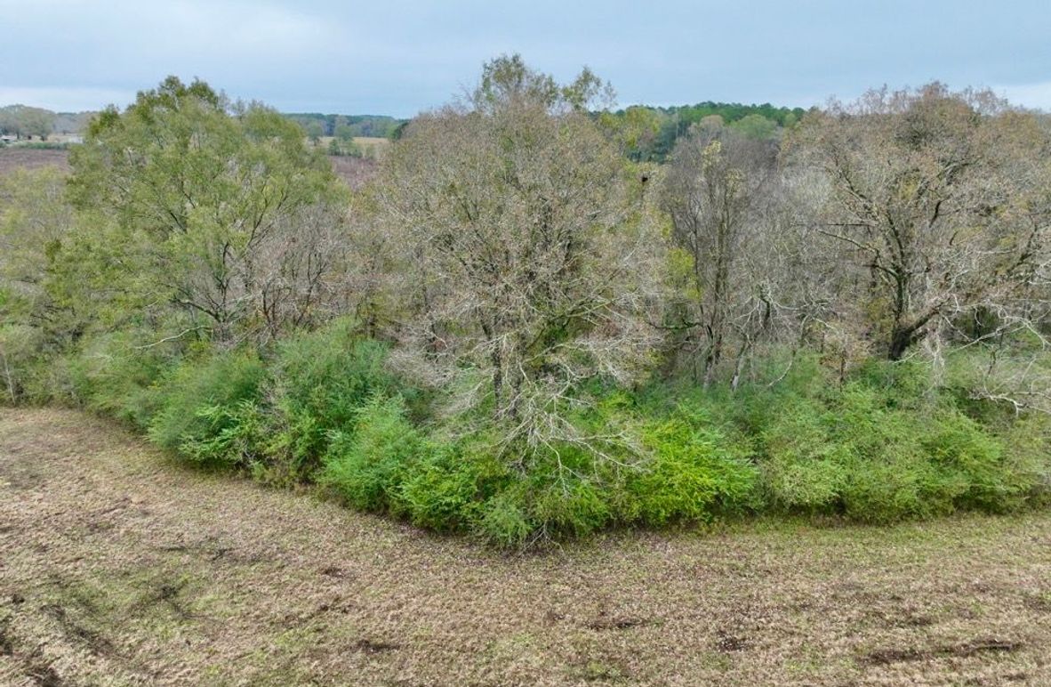 2E1B4E23-782E-48D0-BAD6-B55AB70FEB54_1_201_a-2