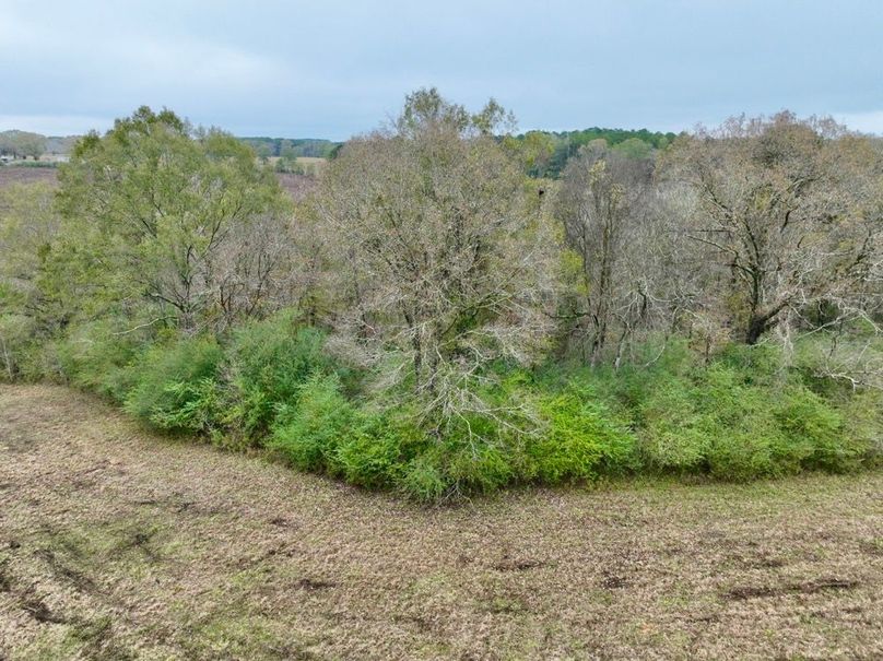 2E1B4E23-782E-48D0-BAD6-B55AB70FEB54_1_201_a-2