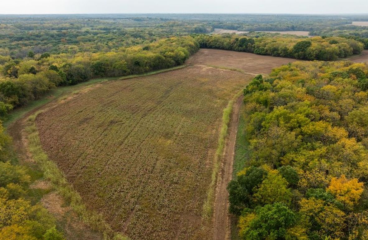 Brad Hand Osage 91--04